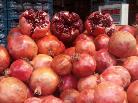 یلدا، آئینی رنگارنگ به سان پاییز و درون مایه ای سپید به رنگ زمستان