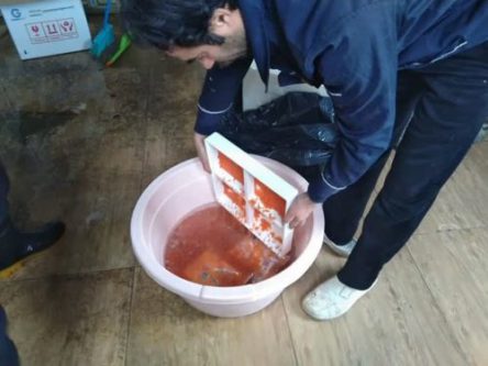 آغاز مجدد فعالیت تنها واحد مزرعه تفریخ ماهیان سردابی در شهرستان بهار