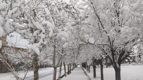 شهر ملایر رخت سفید بر تن کرد+ تصاویر