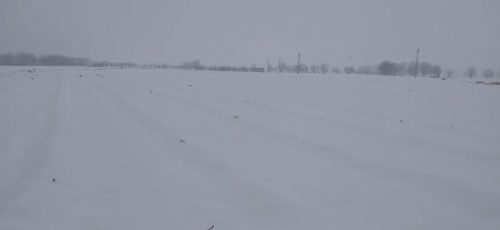 شهروندان نهاوندی از تردد غیرضرور پرهیز کنند/ تردد در جاده‌های اصلی نهاوند به سختی امکان‌پذیر است