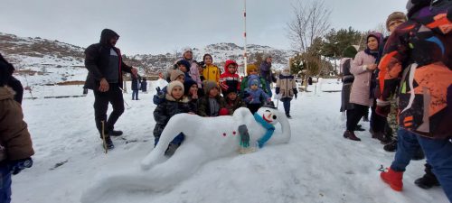 استقبال چشمگیر مردم تویسرکان از جشنواره ساخت آدم برفی+ تصاویر