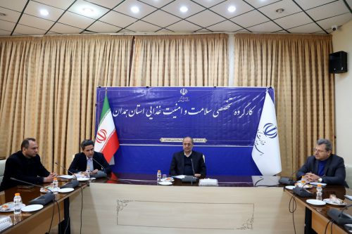 کشور در زمینه امنیت غذایی پیشرفت‌های قابل توجهی داشته است