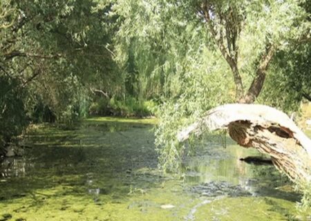 ثبت ملی چشمه شاهنجرین درگزین به استاندارد  ابلاغ شد