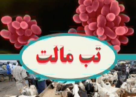 تب مالت، چالش اصلی دانشگاه علوم پزشکی همدان