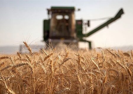 ابلاغ برنامه کشت قراردادی ۴۳۰ هزار هکتار از مزارع استان همدان