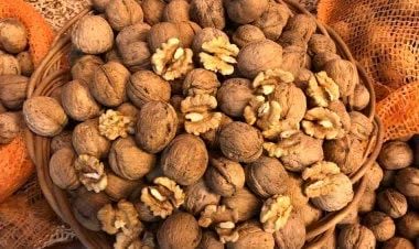 طعم تلخ جریمه برای قاچاقچی گردو