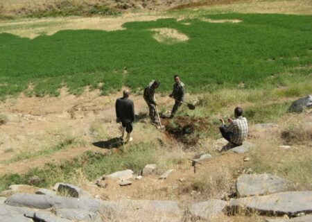 مشکلات بین عشایر و اهالی روستای وهنان برطرف شد