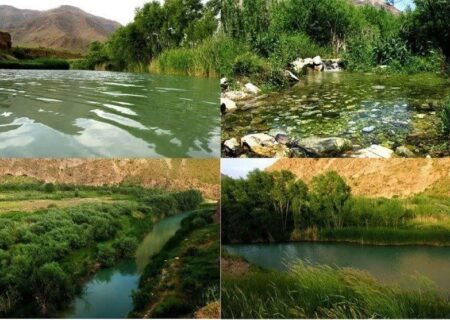 افزایش ۳۰ درصدی جمعیت قوچ‌ها در منطقه حفاظت‌شده ملوسان نهاوند