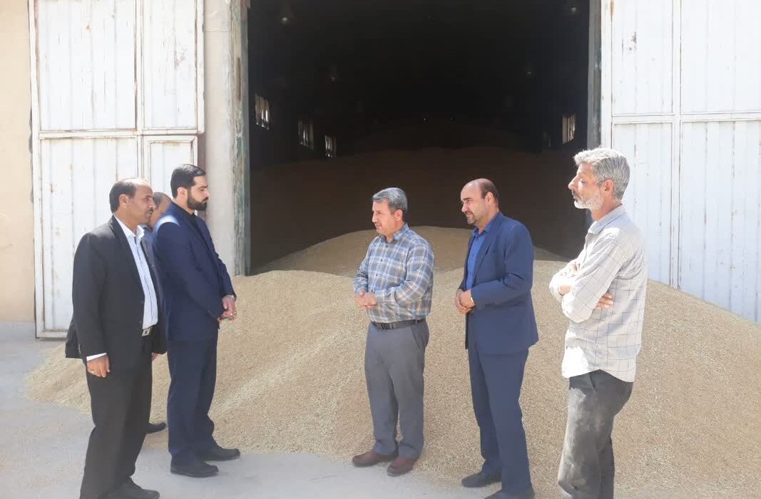 جهاد کشاورزی از ورود دلالان به چرخه خرید گندم جلوگیری کند