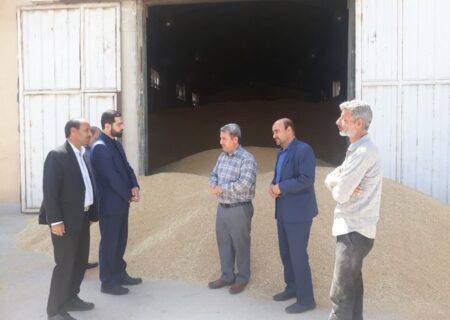 جهاد کشاورزی از ورود دلالان به چرخه خرید گندم جلوگیری کند