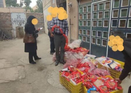 بزرگترین محموله پروتئینی فاسد شدنی در تویسرکان کشف شد