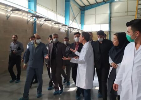 ایجاد اشتغال پایدار و امید و حیات ثمره تلاش بخش خصوصی است