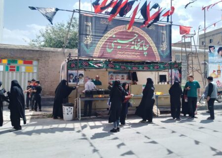 خادمانی که دو بار گرد و خاک زائرین اباعبدالله را به سرو روی خود می‌نشانند