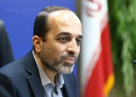 ۵۱ درصد بودجه مشاغل خانگی در همدان جذب شد