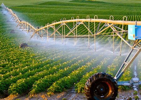 ایجاد ۷۹۶ فرصت شغلی در همدان با احیای واحدهای کشاورزی