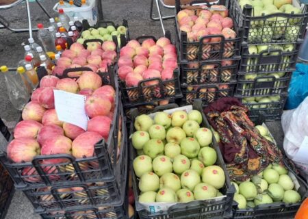 جشنواره‌ای برای معرفی ظرفیت‌های نهاوند یا صرفاً رفع تکلیف