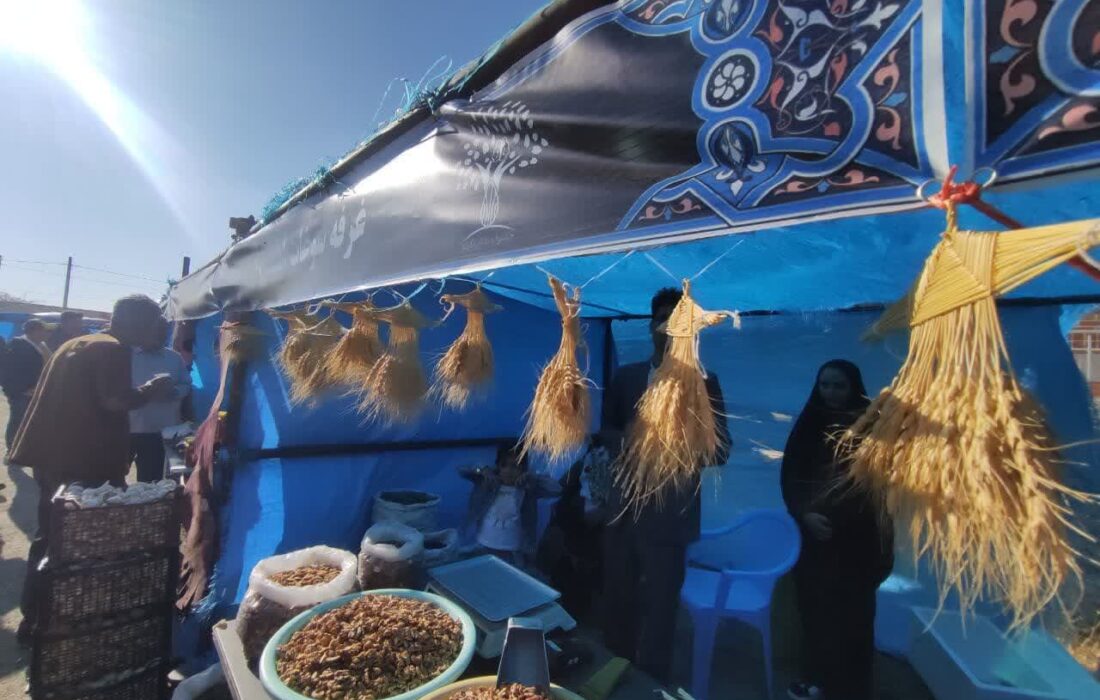 جشنواره گردو در روستای علی‌آباد دمق