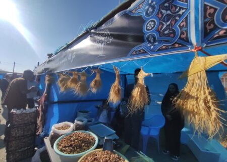 جشنواره گردو در روستای علی‌آباد دمق