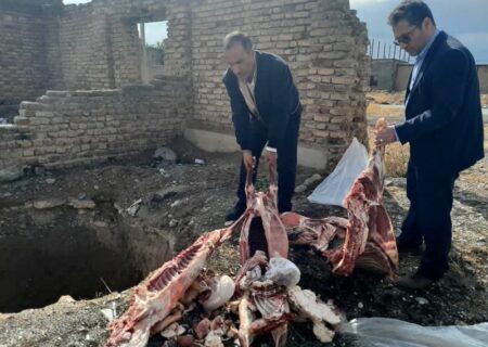ضبط و معدوم‌سازی ۳ لاشه گوسفند در نهاوند