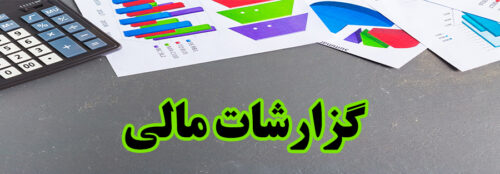 شهرداری و شوراهای شهر گزارش‌های مالی را منتشر کنند