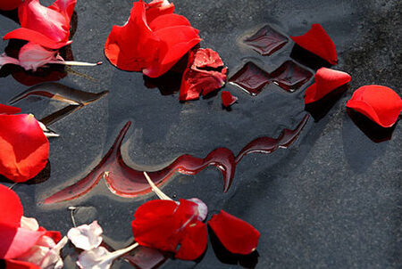 خون شهدا جهان را بیدار کرد