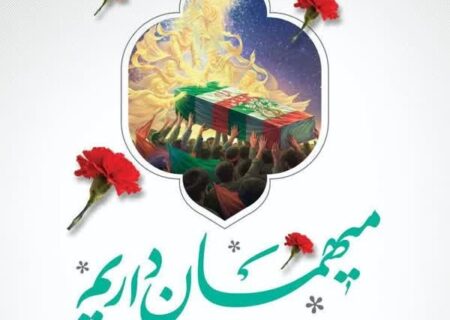 کاربران فضای مجازی با هشتگ #مهمان_داریم به پیشواز شهدا رفتند +تصاویر