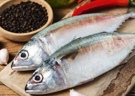 همدان، پیشرو در ترویج فرهنگ مصرف ماهی