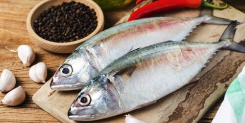 همدان، پیشرو در ترویج فرهنگ مصرف ماهی