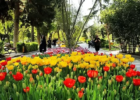 توسعه بوستان‌های شهری سبب افزایش نشاط اجتماعی