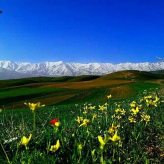 تدارک نهاوند برای استقبال از بهار