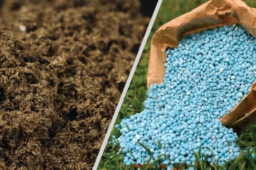 همدانی‌ها، پیشگام در تحقق اهداف جهاد کشاورزی