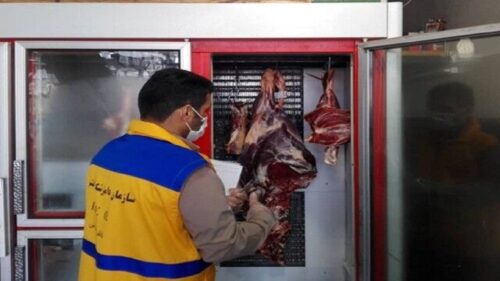 آغاز طرح تشدید نظارت دامپزشکی ویژه نوروز