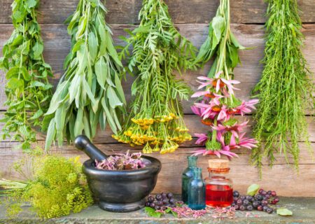 از آش‌های معطر تا دمنوش‌های گوارا