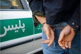 دستگیری ۳ نفر سارق در ملایر