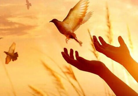 ۲۸۰ زندانی همدانی چشم‌ انتظار دلهای مهربان