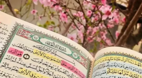 تقارن بهار طبیعت و روح