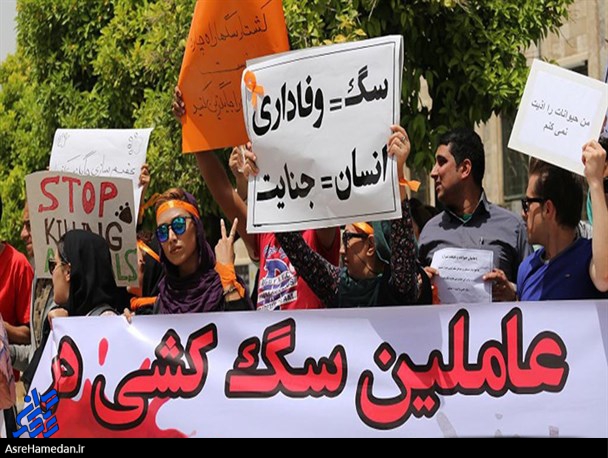 سکوت معنادار معترضان عقیم‌سازی سگ‌های ولگرد در مرگ کودکان قربانی!/ چرا جمعیت سگ‌های بی‌صاحب تا این حد افزایش داشت؟