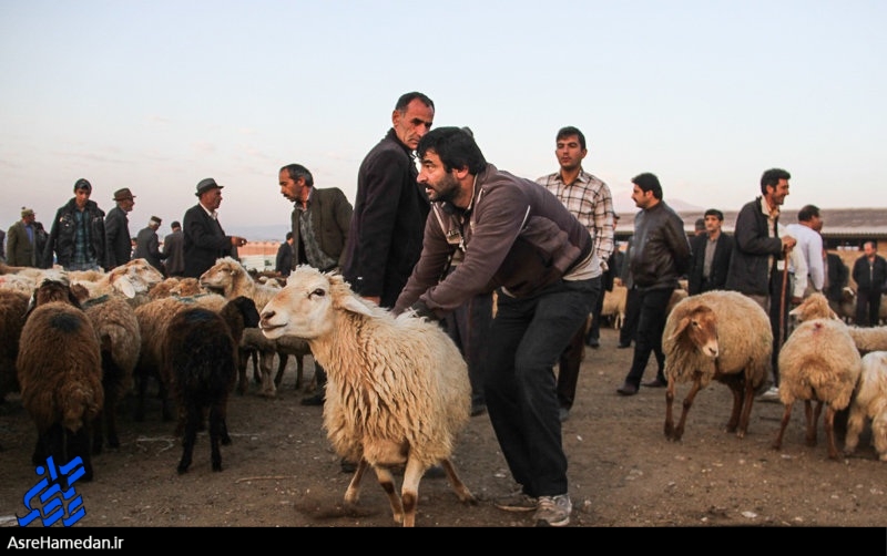 ۴ اکیپ ذبح شرعی و بهداشتی را نظارت می کنند