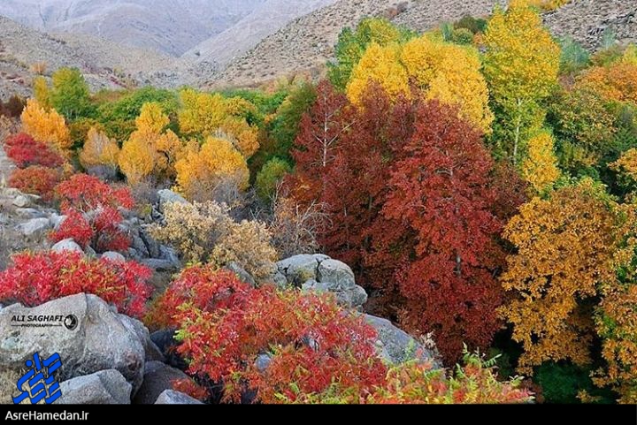 پاییز، اتحاد تماشایی برگ و نور در روستای خاکوی همدان