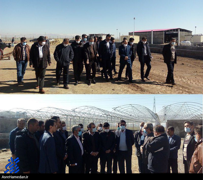 بصورت هفتگی پیشرفت کار احداث مجتمع کشت و صنعت یاس و عملکرد دستگاههای اجرایی مربوطه را پیگیری می کنیم