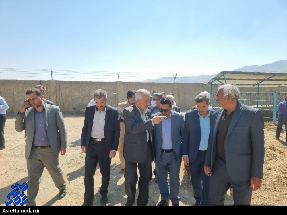 وعده حل مشکل گاز شهرک گلخانه ای نهاوند