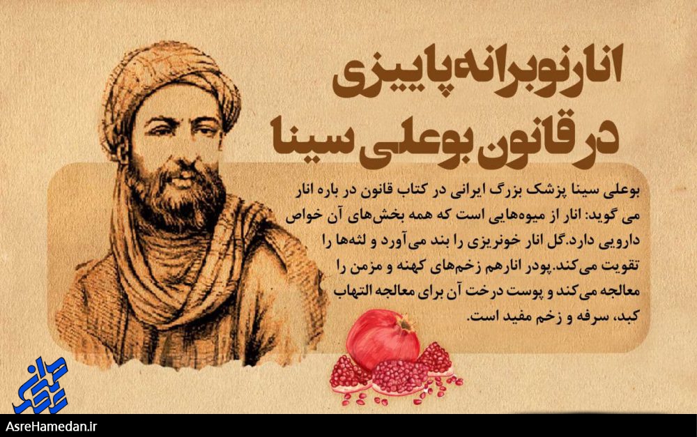 انار؛ نوبرانه پاییزی در قانون بوعلی سینا