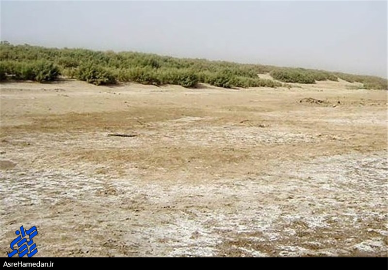 زنگ خطر کویری شدن دشت اسدآباد به صدا درآمد/کشت یونجه دشت را به باد می‌دهد