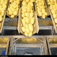 بهره برادری از یازده فقره واحد صنایع تبدیلی در همدان