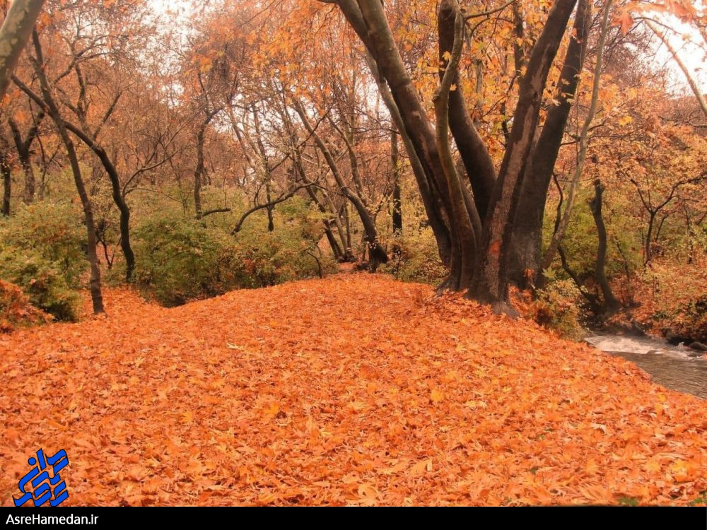 دفتر نقاشی خدا با آبرنگ هستی جلوه گری می کند+تصاویر