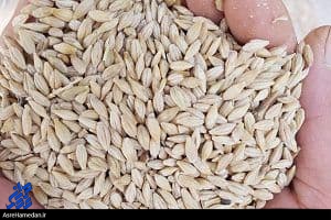 کشف جو احتکاری در اسدآباد