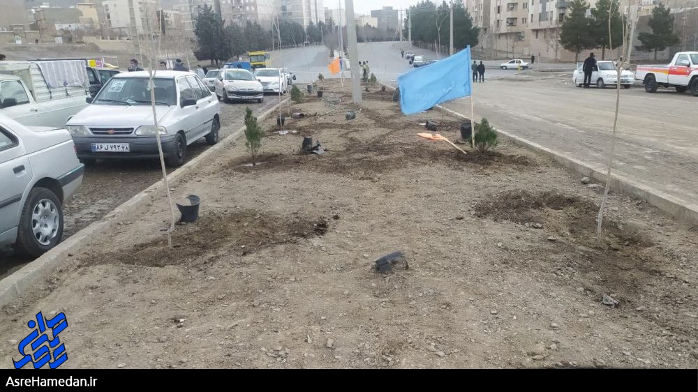 کاشت ۱۱۰۰ درخت به تعداد شهدای ملایر در هفته منابع طبیعی