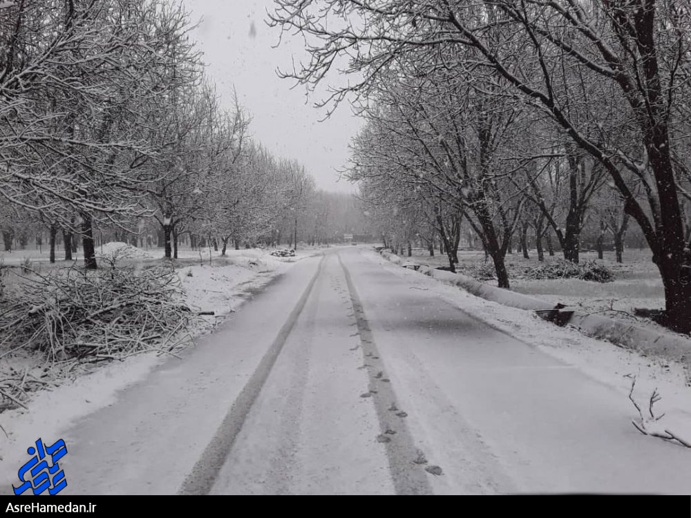 برف یعنی بارش یکرنگی بر دل طبیعت