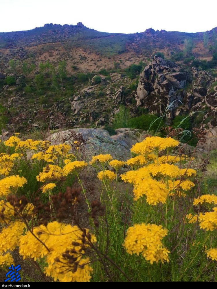 سرزندگی، هوای پرطراوت خرداد ماه و صدای آبشار اللو در باغ شهر سرکان+تصاویر