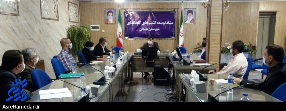 تلاش جمعی برای تحقق سهمیه توسعه کشت های گلخانه ای در شهرستان همدان